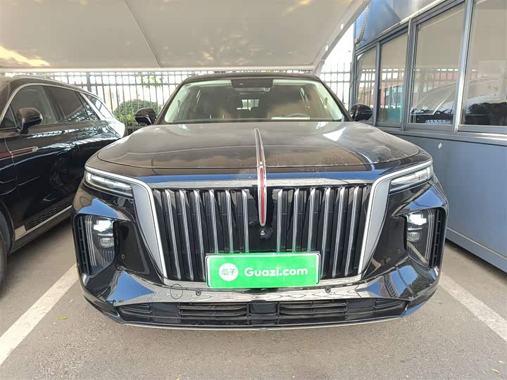 Фото 3 - Hongqi E-HS9