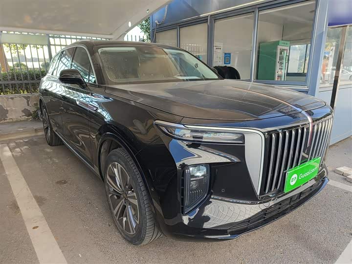 Фото 4 - Hongqi E-HS9