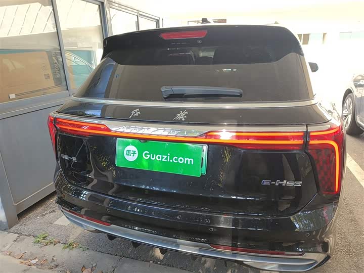 Фото 6 - Hongqi E-HS9
