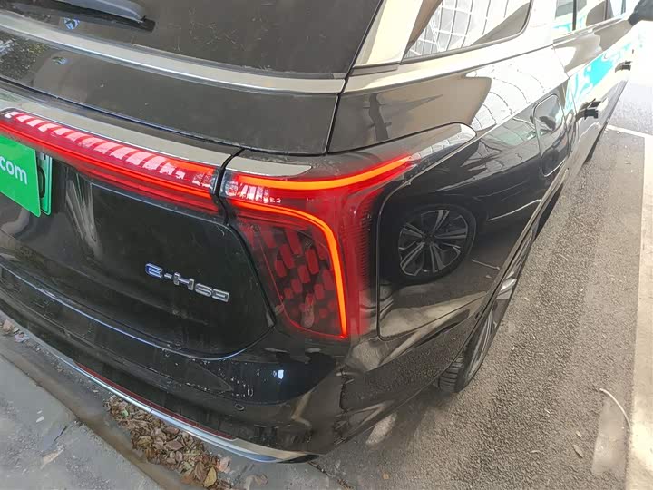 Фото 8 - Hongqi E-HS9