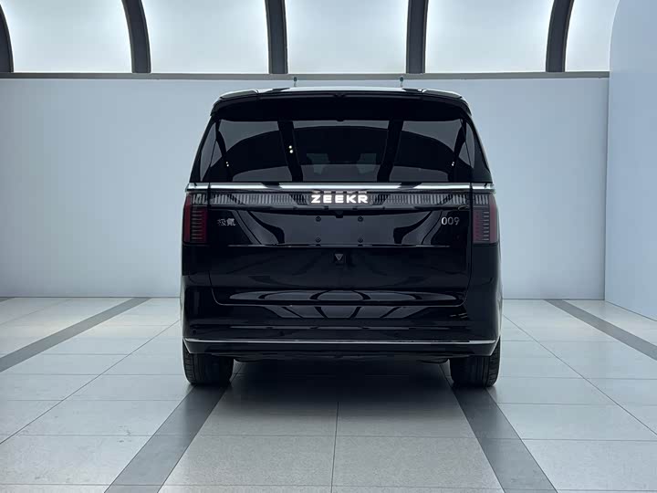 Фото 4 - Zeekr 009