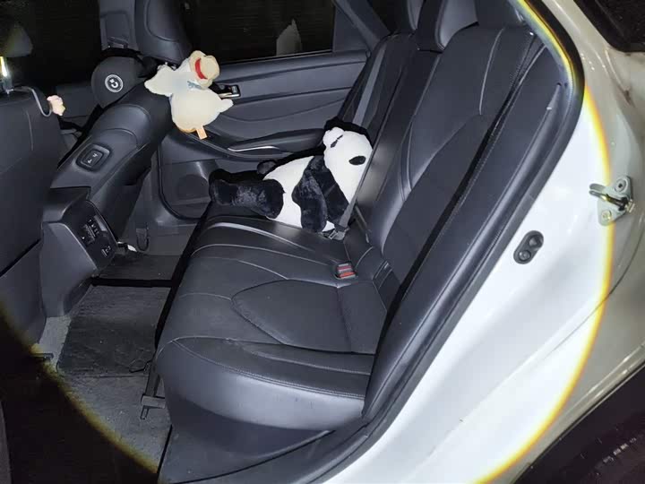 Фото 19 - Toyota Avalon