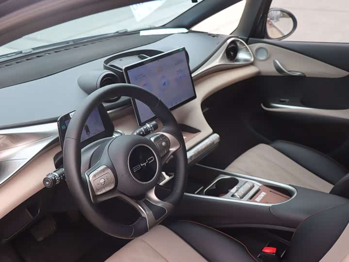 Фото 10 - BYD Dolphin