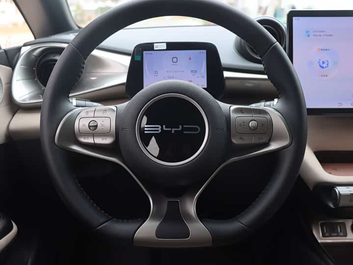 Фото 15 - BYD Dolphin