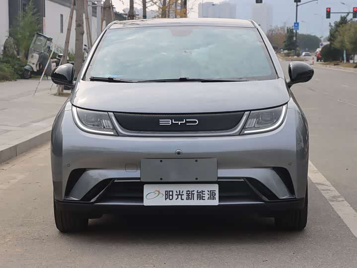 Фото 2 - BYD Dolphin