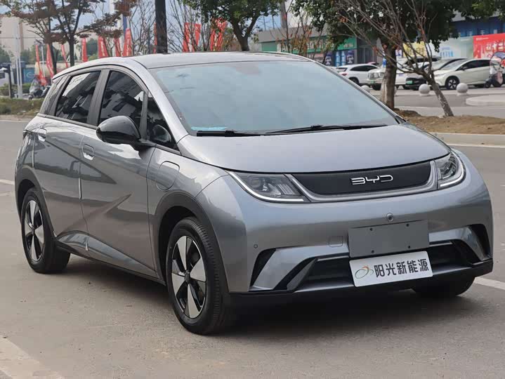 Фото 3 - BYD Dolphin