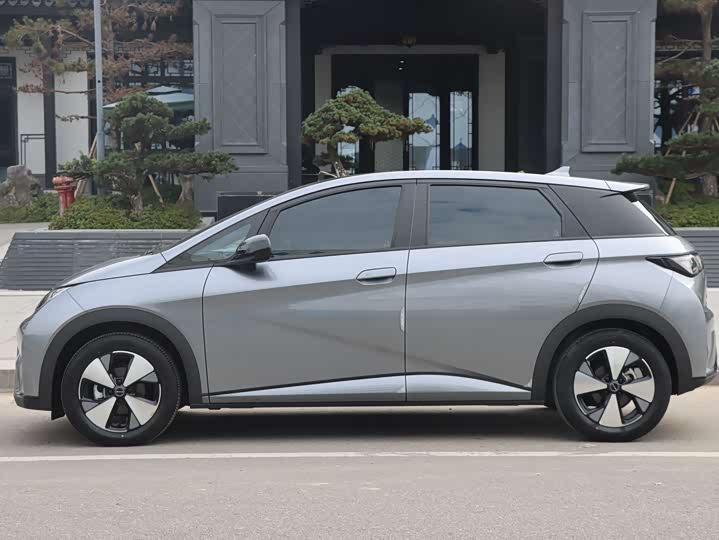 Фото 7 - BYD Dolphin