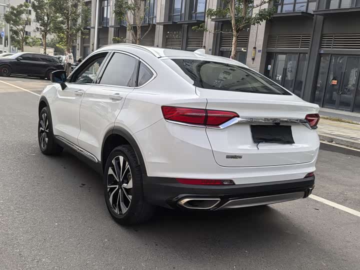 Фото 12 - Geely Tugella S