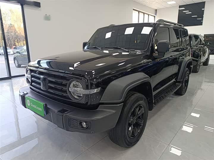 Фото 1 - Tank 300