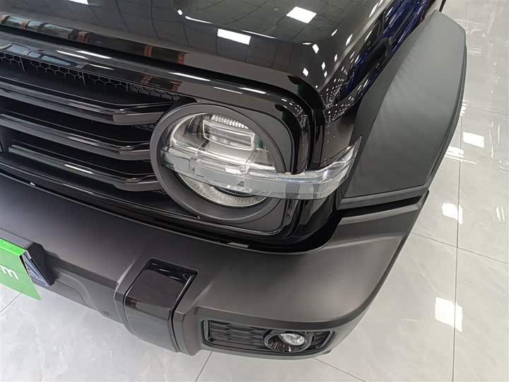 Фото 23 - Tank 300