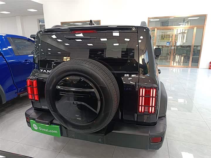 Фото 5 - Tank 300