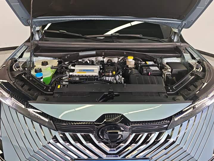 Фото 10 - GAC Trumpchi Emkoo