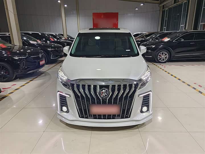 Фото 29 - Buick GL8 ES