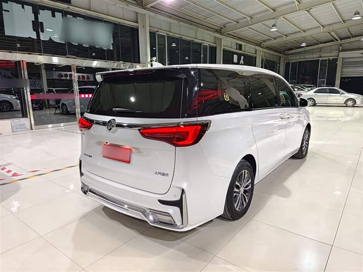 Фото 30 - Buick GL8 ES