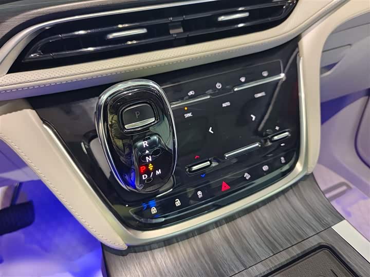 Фото 7 - Buick GL8 ES