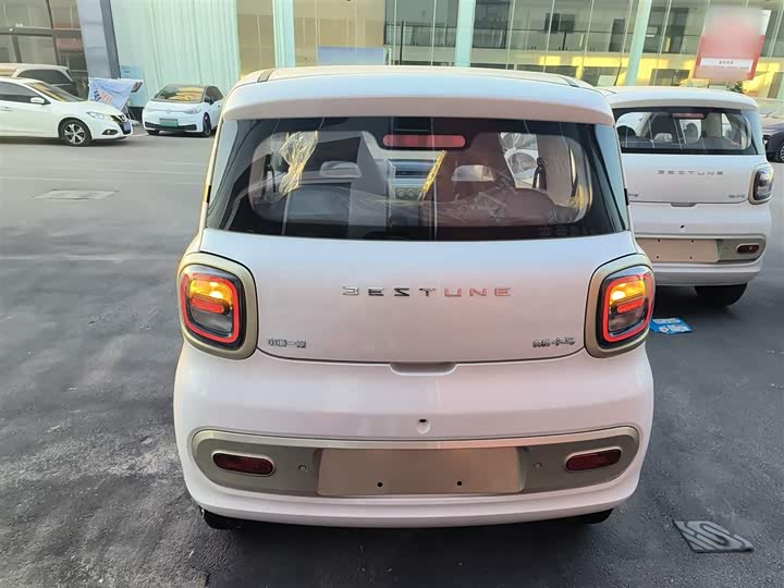 Фото 6 - Bestune Pony