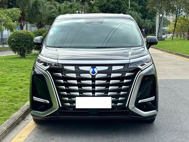 Фото 2 - Denza D9