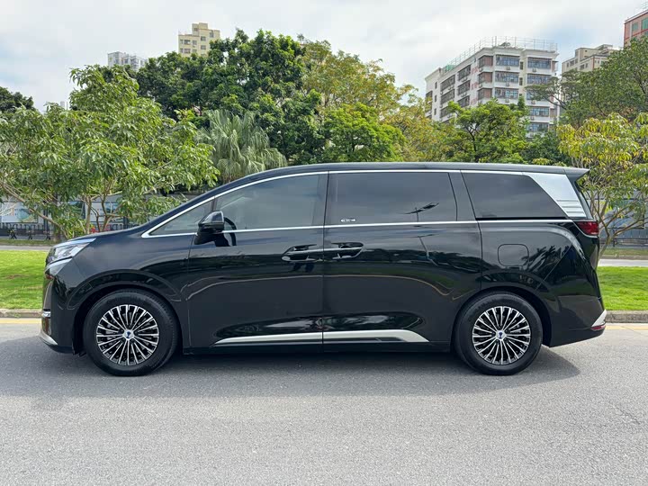 Фото 3 - Denza D9