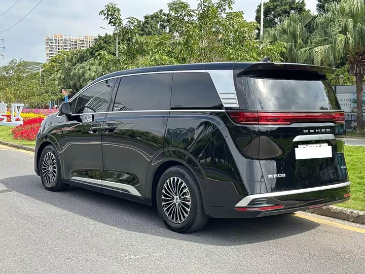 Фото 4 - Denza D9