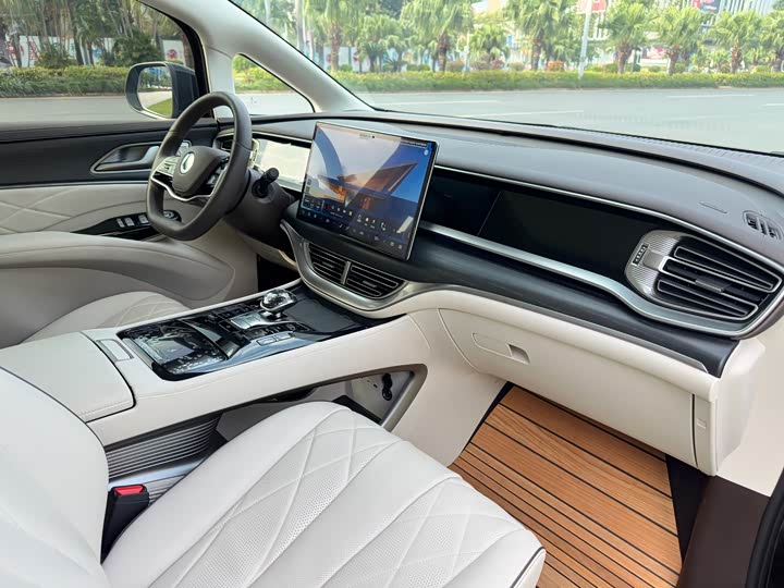 Фото 9 - Denza D9