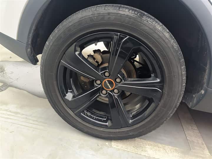 Фото 26 - Roewe RX3