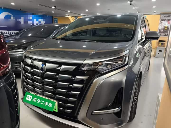 Фото 1 - Denza D9