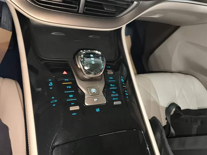 Фото 14 - Denza D9