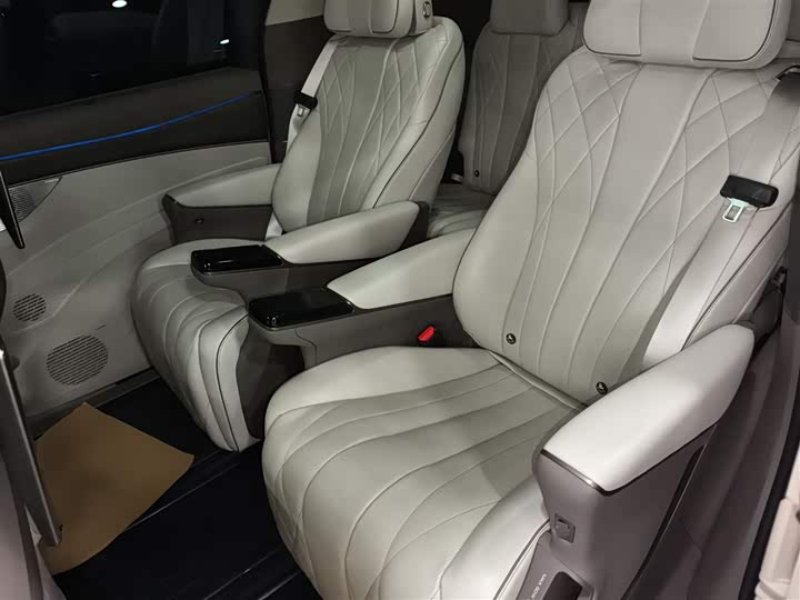 Фото 17 - Denza D9