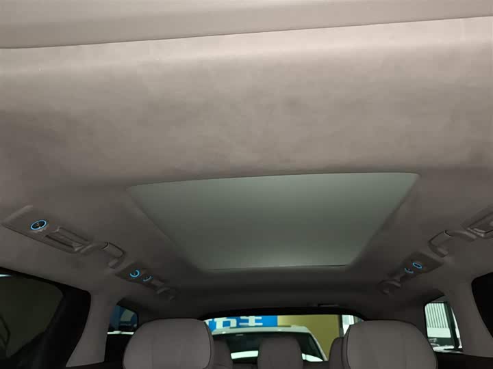 Фото 18 - Denza D9