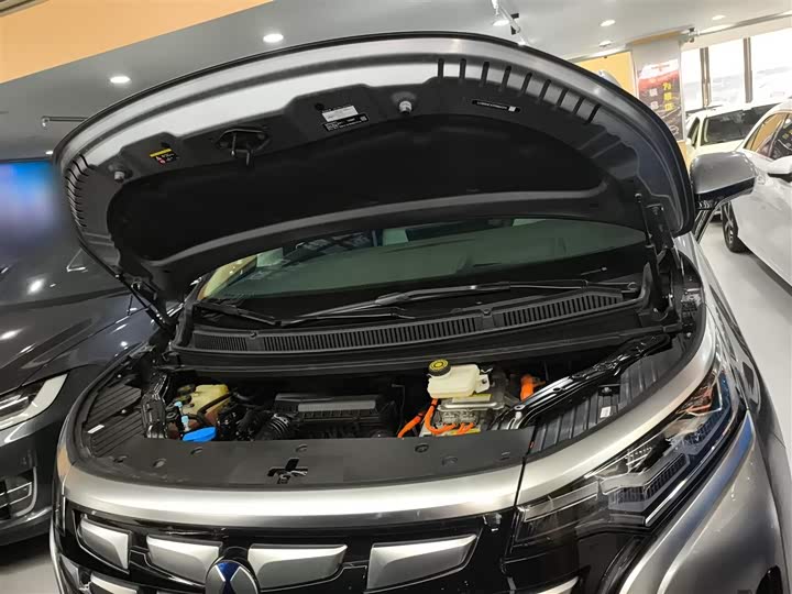 Фото 20 - Denza D9