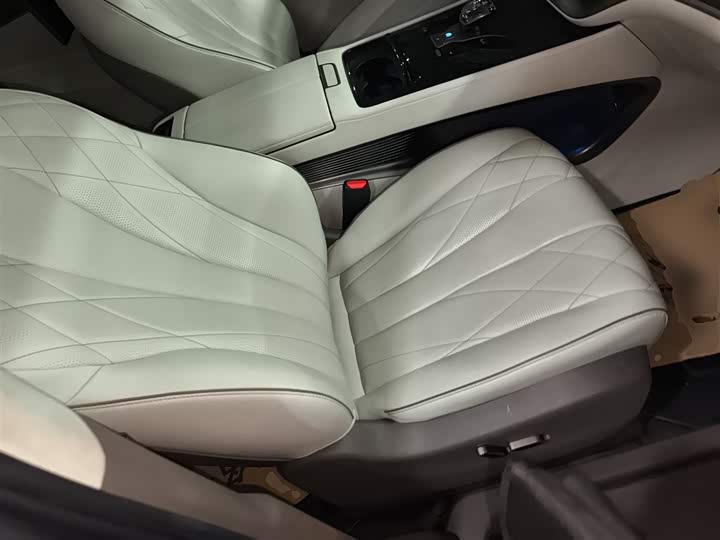 Фото 25 - Denza D9