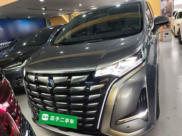 Фото 3 - Denza D9