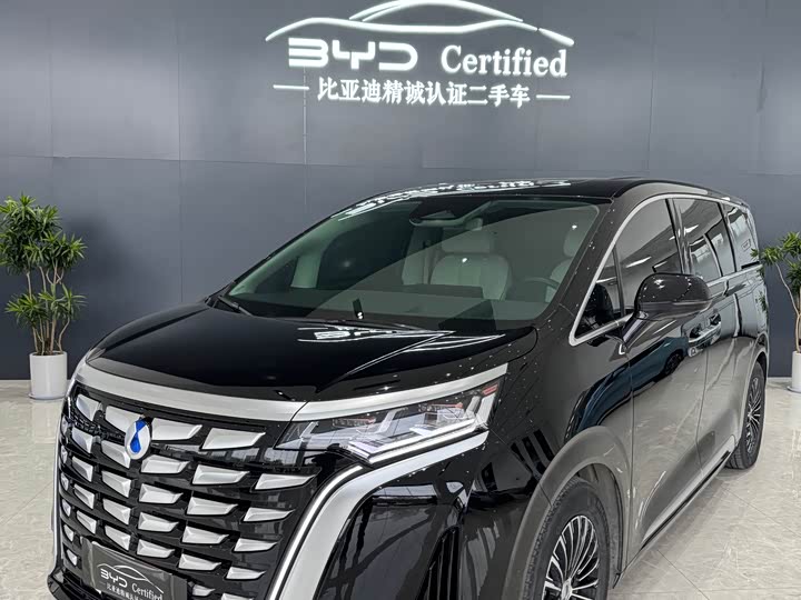 Фото 1 - Denza D9