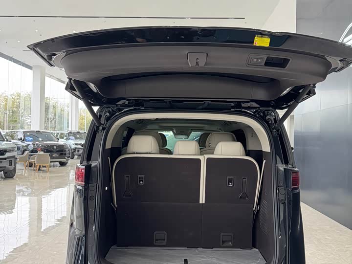 Фото 10 - Denza D9