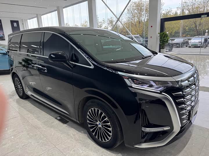 Фото 12 - Denza D9