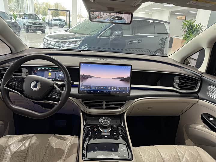 Фото 13 - Denza D9