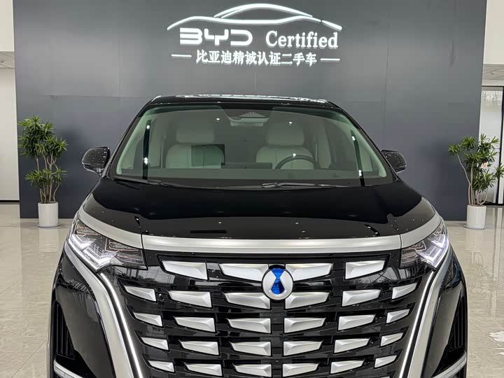 Фото 2 - Denza D9