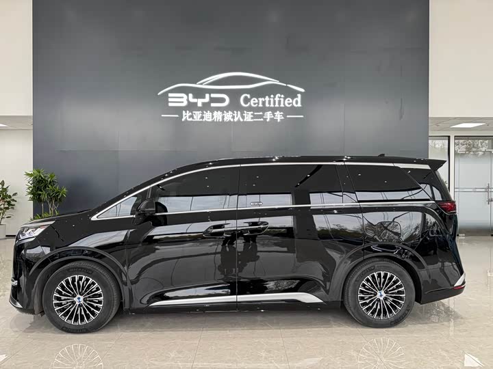 Фото 3 - Denza D9