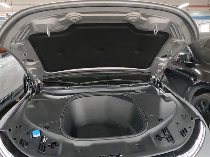 Фото 20 - XPeng P7