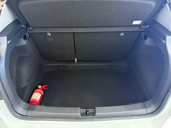 Фото 11 - Volkswagen Tacqua