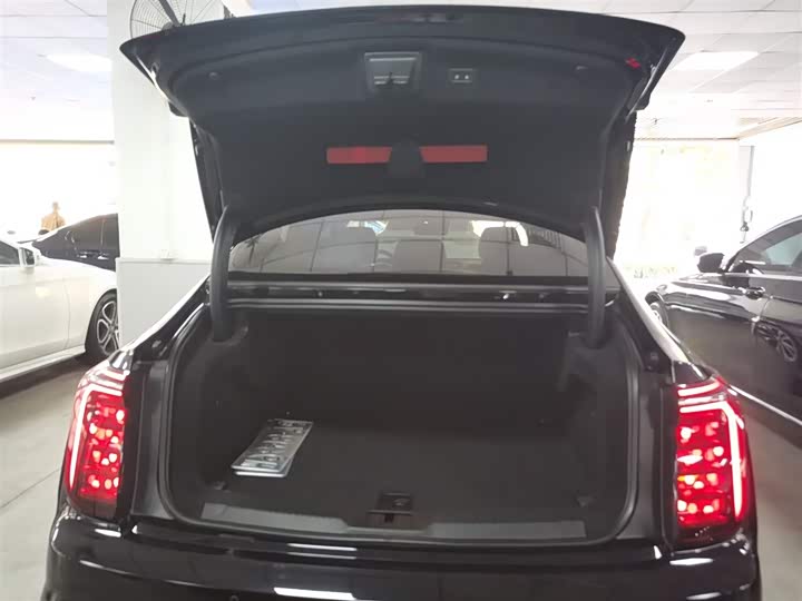 Фото 19 - Hongqi H9