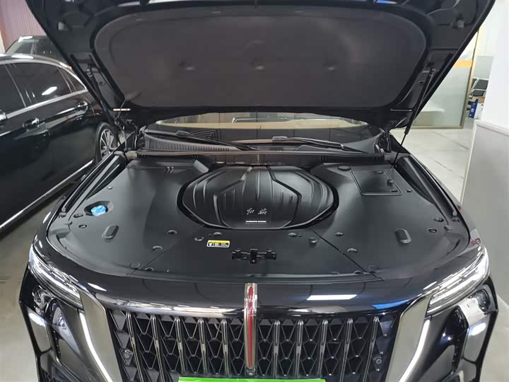 Фото 20 - Hongqi H9