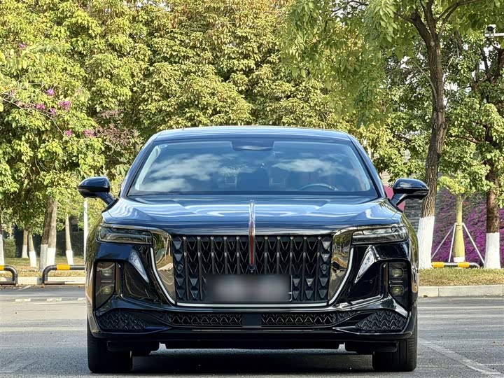 Фото 3 - Hongqi H9