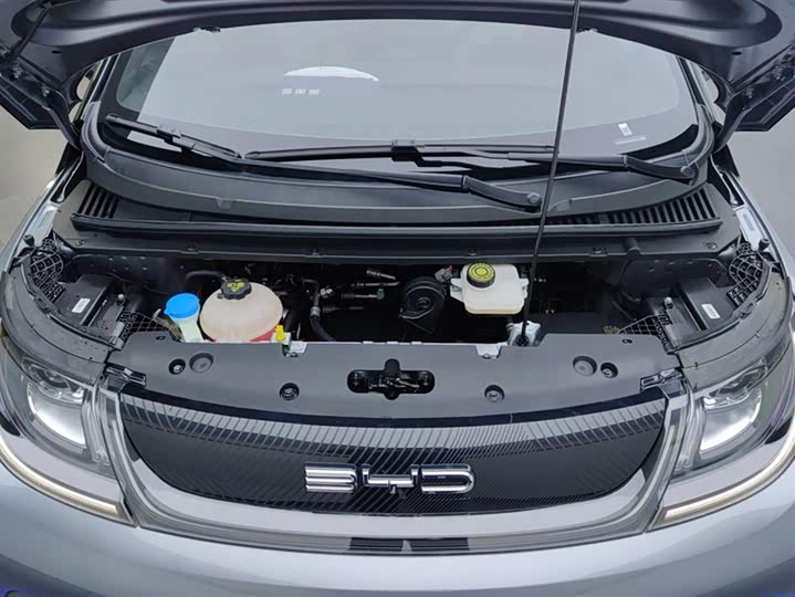 Фото 10 - BYD Dolphin