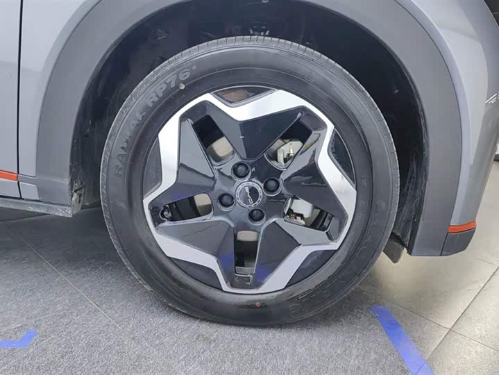 Фото 6 - BYD Dolphin