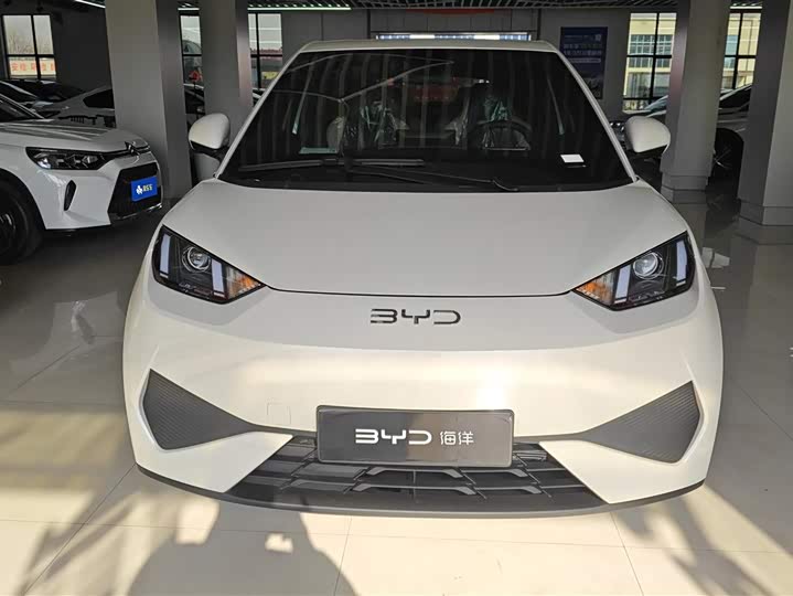 Фото 2 - BYD Seagull