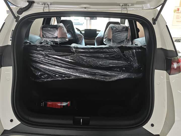 Фото 4 - BYD Seagull