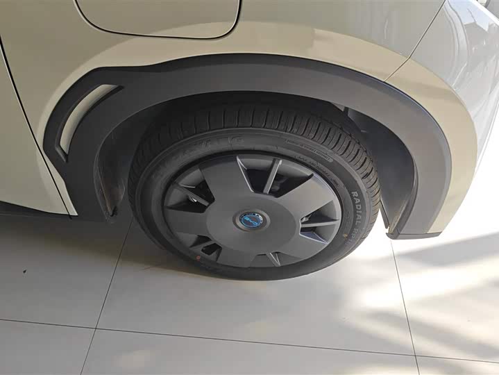 Фото 6 - BYD Seagull