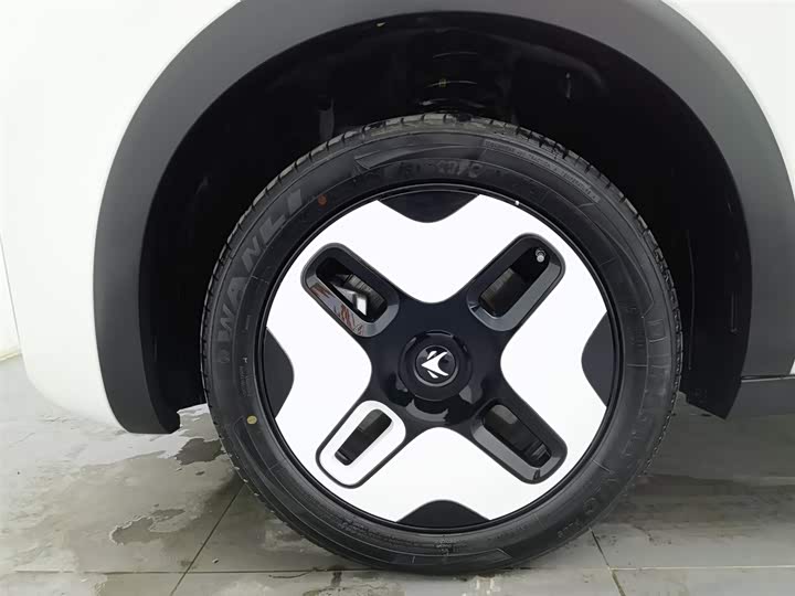 Фото 17 - BAIC Arcfox Kaola S