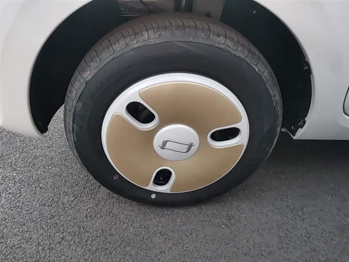 Фото 23 - Bestune Pony